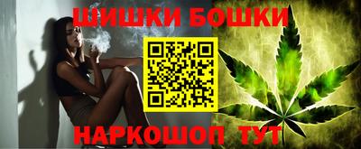 Альфа ПВП Малгобек