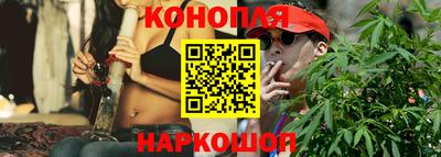 Альфа ПВП Малгобек