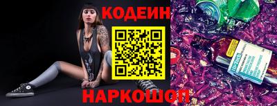 Альфа ПВП Малгобек