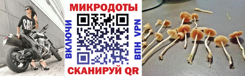 Галлюциногенные грибы прущие грибы Приморско-Ахтарск