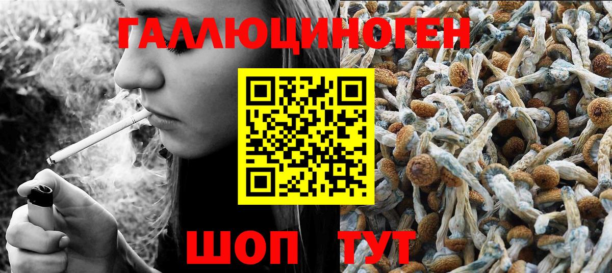 Галлюциногенные грибы MAGIC MUSHROOMS Приморско-Ахтарск