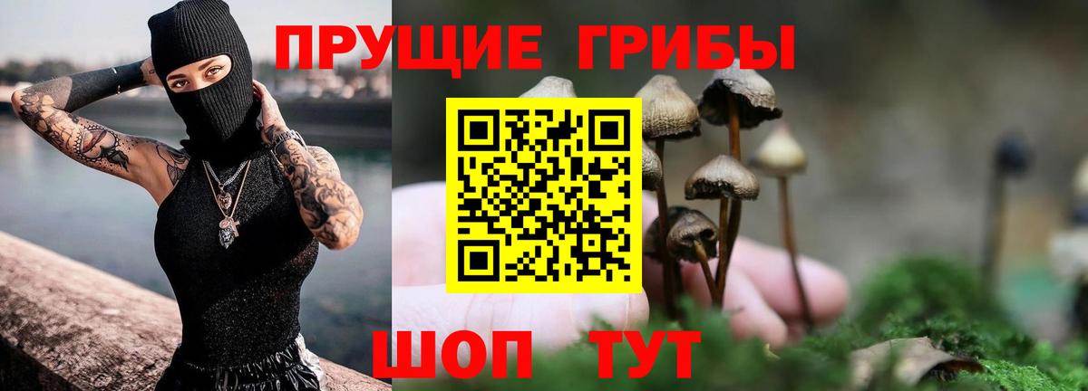 наркота  Галлюциногенные грибы прущие грибы  Вход с VPN  Приморско-Ахтарск 