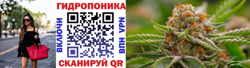 Канабис семена  цена   Приморско-Ахтарск 